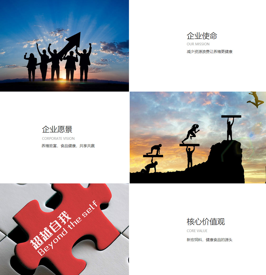 易游体育app官网(图1)